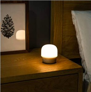 Round Mushroom Night Lamp with Wooden Base