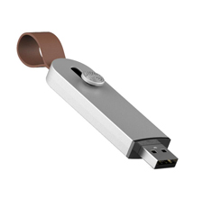 Fingerprint push-pull U disk