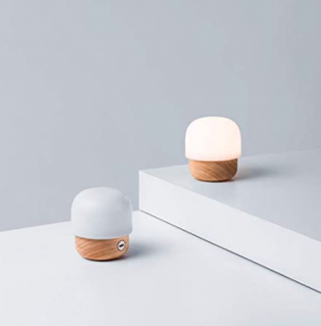 Round Mushroom Night Lamp with Wooden Base